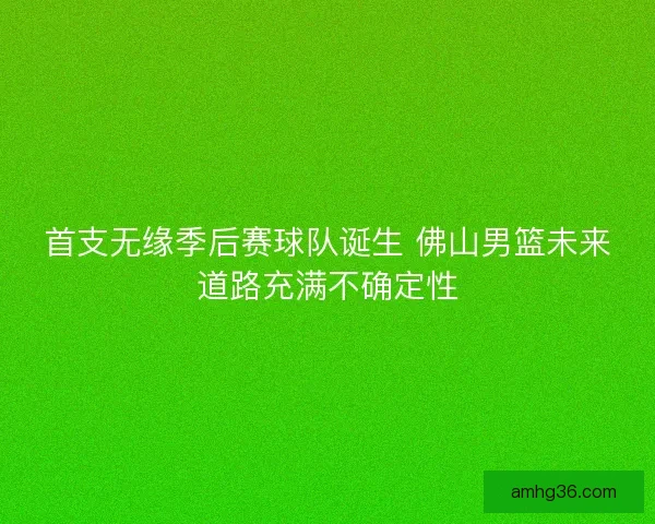 首支无缘季后赛球队诞生 佛山男篮未来道路充满不确定性